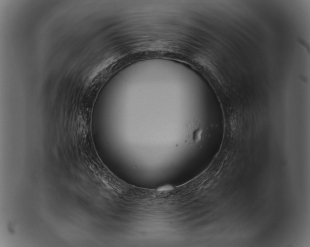 X0000101991064200807181142