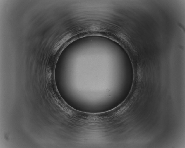 X0000101991065200807181142