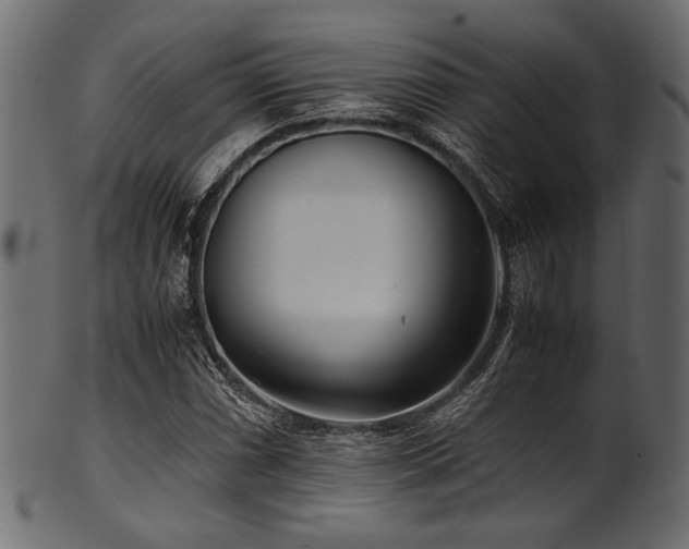 X0000101991066200807181142