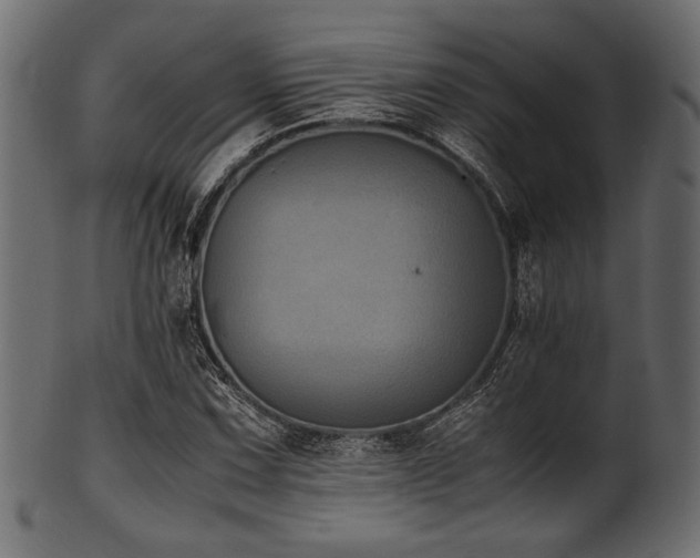 X0000101991067200807181142