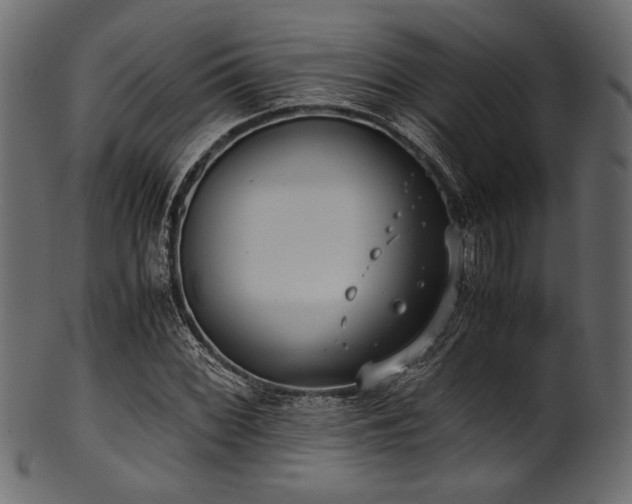 X0000101991068200807181142