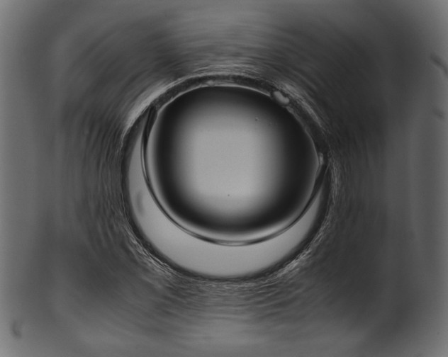X0000101991069200807181142