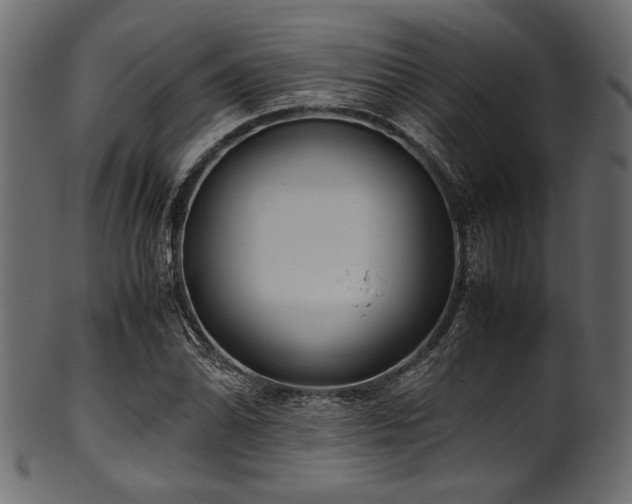 X0000101991070200807181142