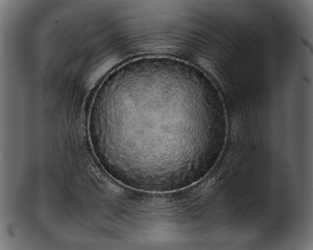 X0000101991071200807181142