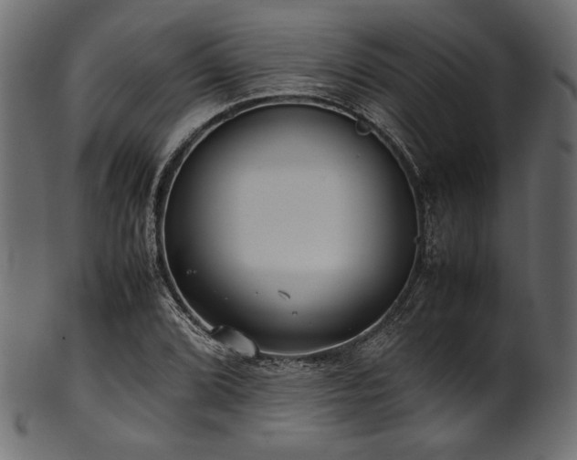 X0000101991072200807181142