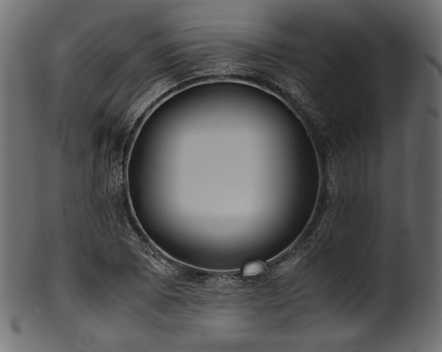X0000101991073200807181142