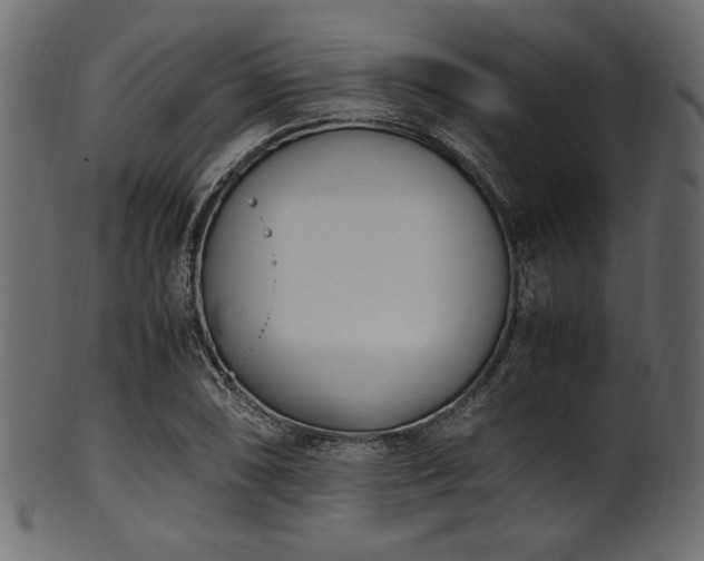 X0000101991074200807181142