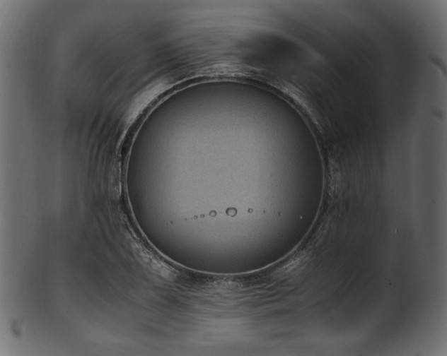 X0000101991075200807181142