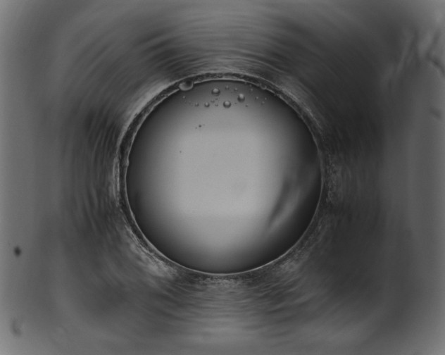 X0000101991076200807181142