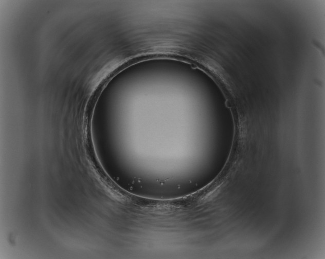 X0000101991077200807181142