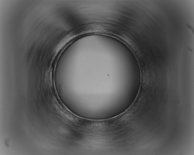 X0000101991078200807181142