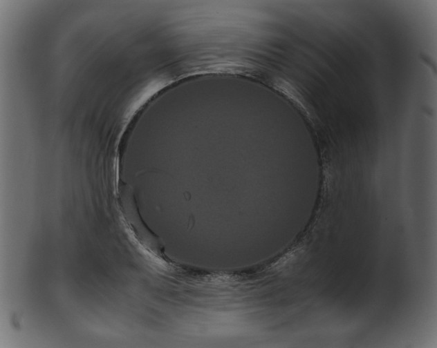 X0000101991079200807181142