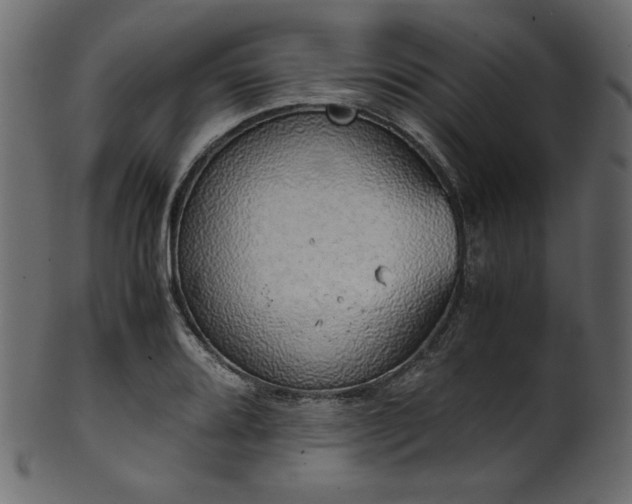 X0000101991080200807181142