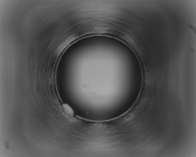 X0000101991081200807181142