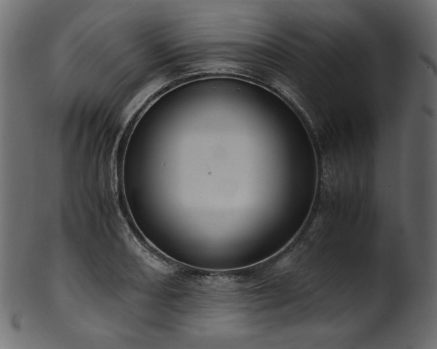 X0000101991082200807181142