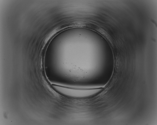 X0000101991083200807181142