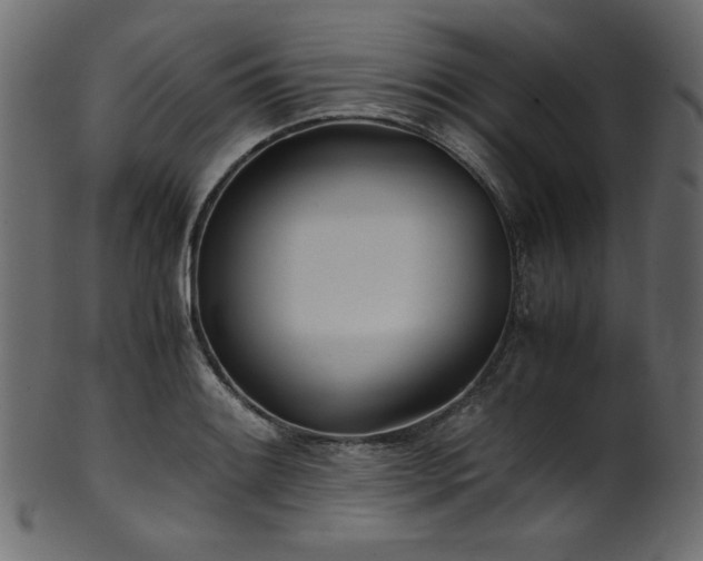 X0000101991084200807181142