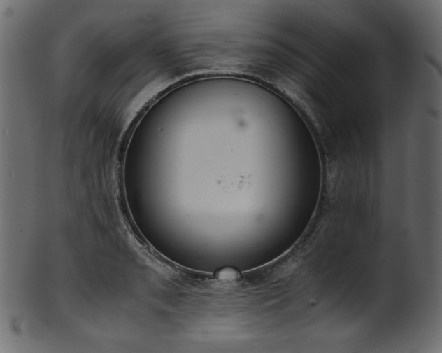 X0000101991085200807181142