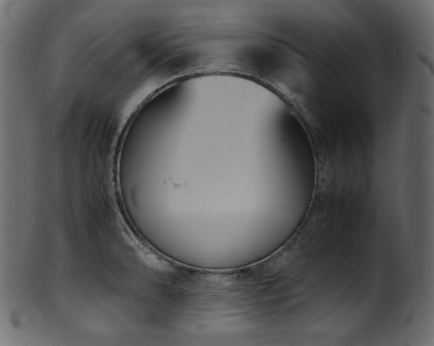 X0000101991086200807181142