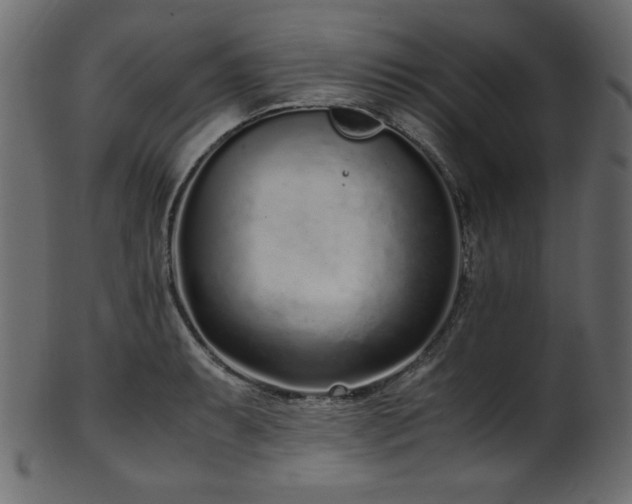 X0000101991087200807181142