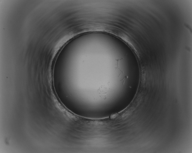 X0000101991088200807181142