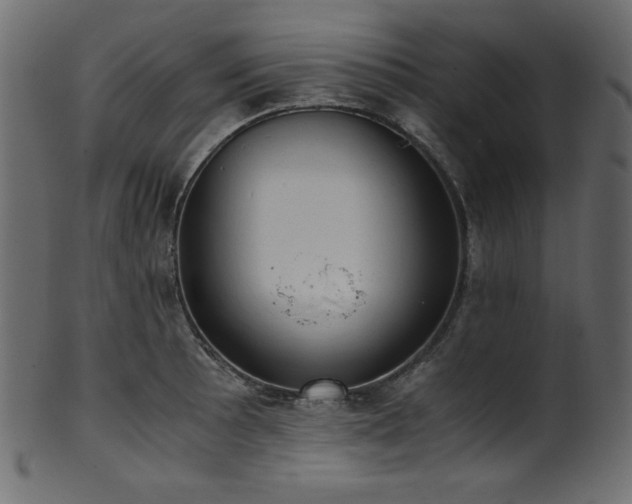 X0000101991089200807181142