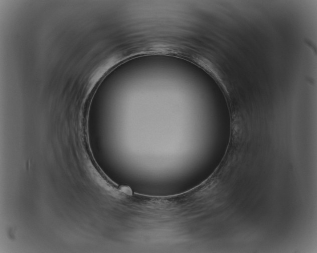X0000101991091200807181142