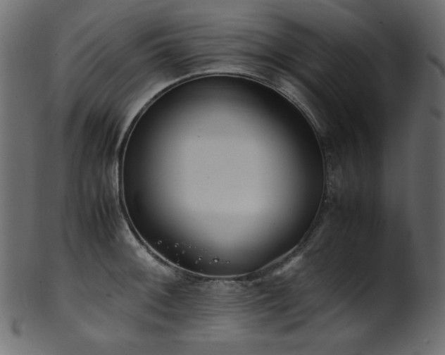 X0000101991092200807181142
