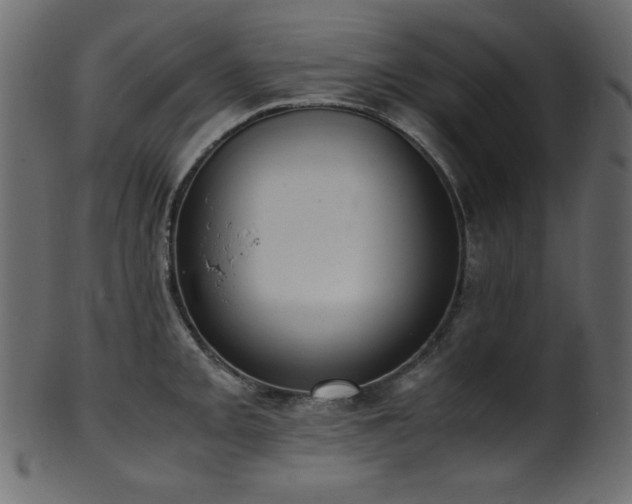 X0000101991093200807181142