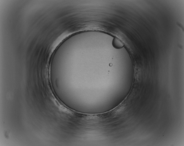 X0000101991094200807181142