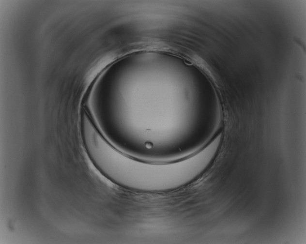 X0000101991095200807181142