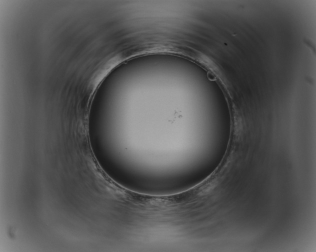 X0000101991097200807181142
