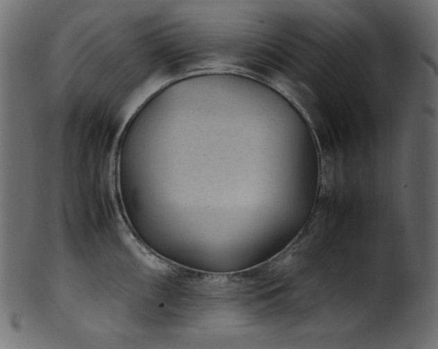 X0000101991098200807181142