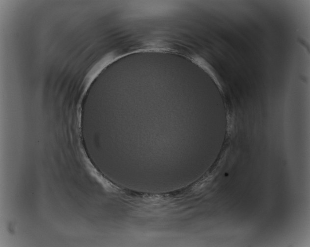 X0000101991099200807181142