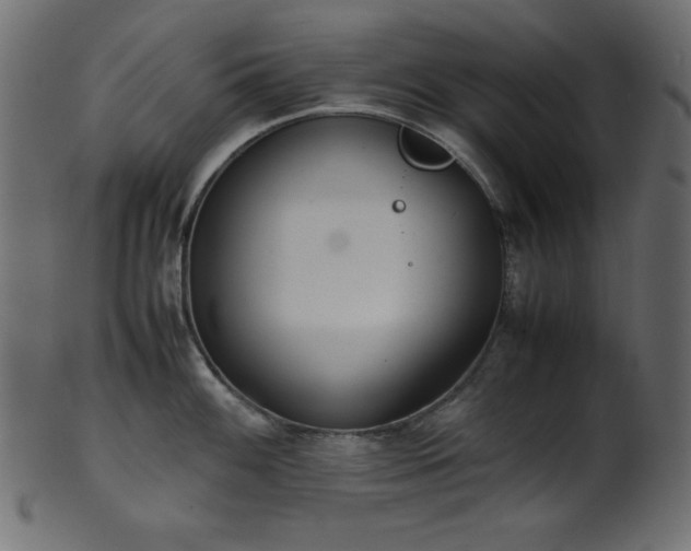 X0000101991100200807181142