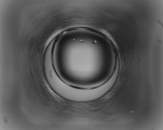 X0000101991101200807181142