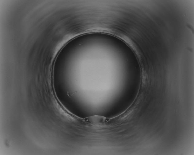 X0000101991102200807181142