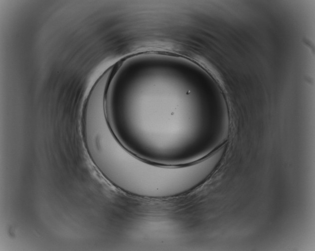 X0000101991104200807181142