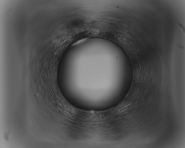 X0000101991105200807181141