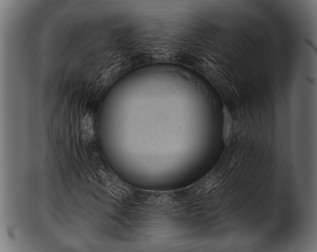 X0000101991106200807181141