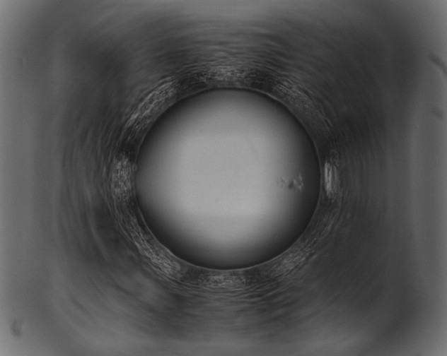 X0000101991107200807181141