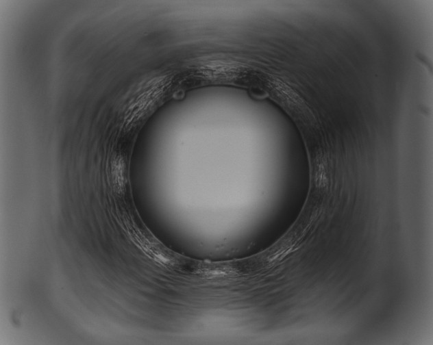 X0000101991108200807181141