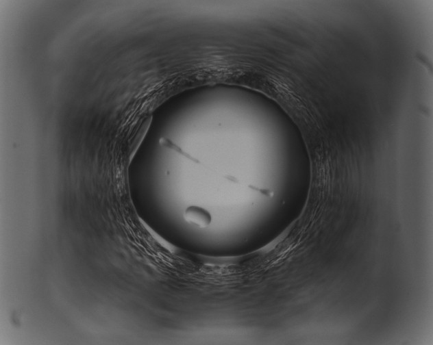 X0000101991109200807181141
