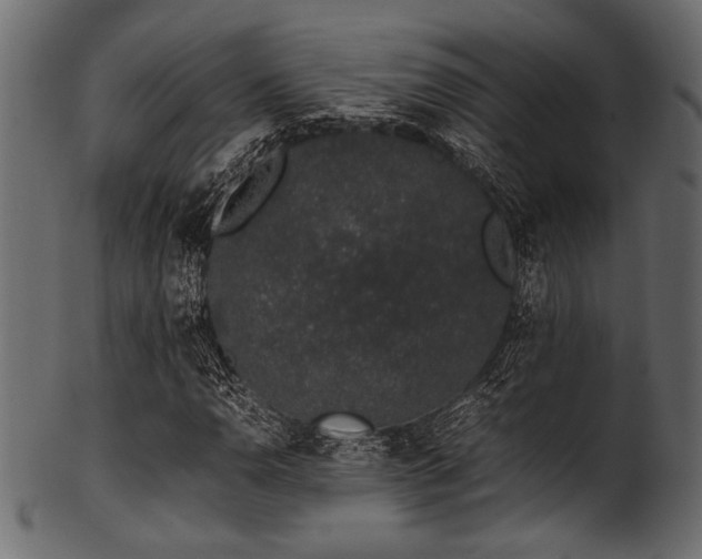 X0000101991110200807181141
