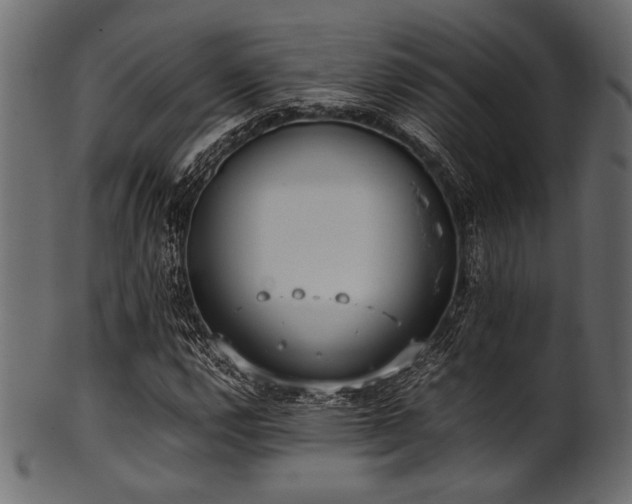 X0000101991112200807181141