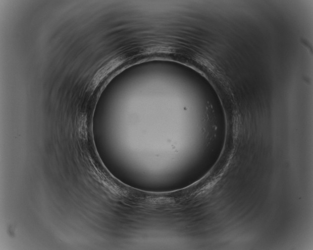 X0000101991113200807181141
