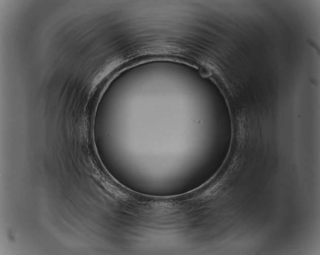 X0000101991114200807181141