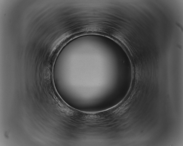 X0000101991115200807181141