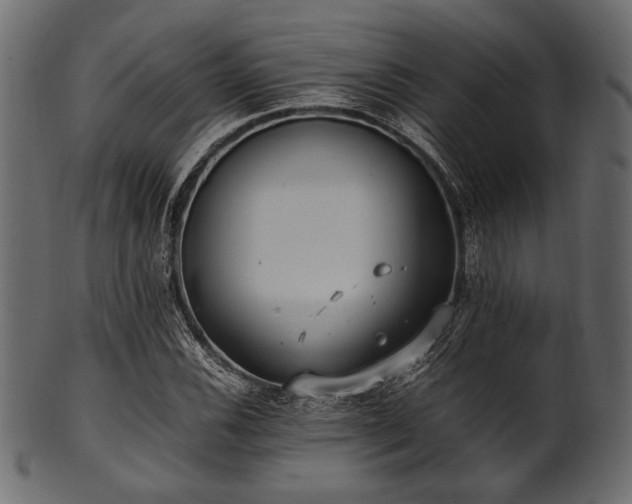 X0000101991116200807181141