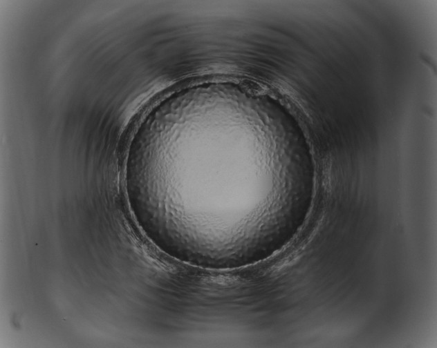 X0000101991117200807181141